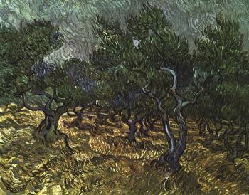 Vincent Van Gogh : The Olive Grove